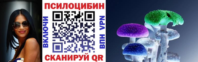 Галлюциногенные грибы Psilocybine cubensis  Купить  Северо-Курильск 